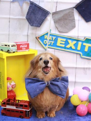 20230401ナッツくん